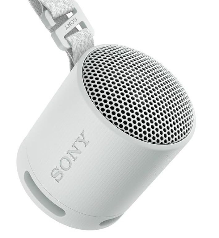 Sony SRS-XB100 Wireless Speaker